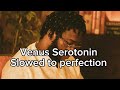 Venus Serotonin Slowed To Perfection Best Version