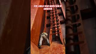 Cargo hold inspection by surveyor ⚓🚢#marine #ship #life #crew #coc #imo #dg #survival #hold
