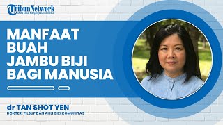 Benarkah Daun Jambu Biji Dapat Menjadi Obat Demam Berdarah Berikut Jawaban dr Tan Shot Yen