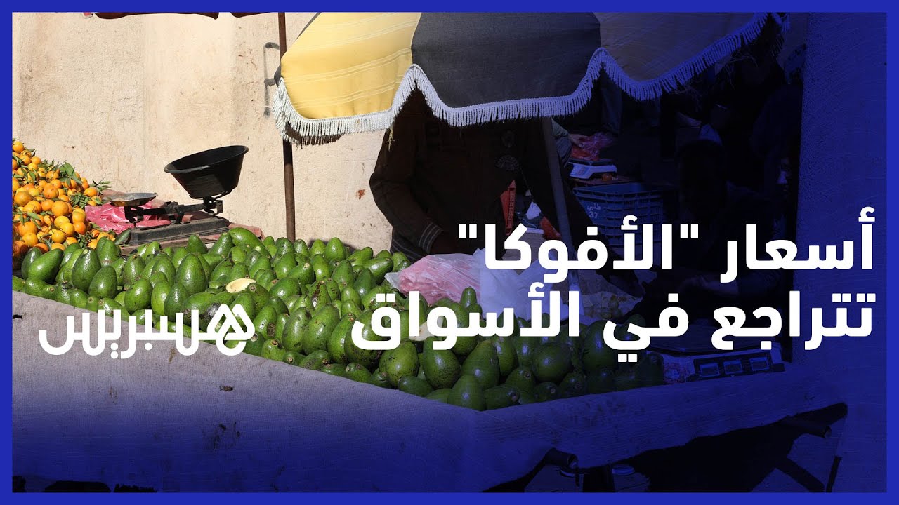 من 40 درهم إلى 12 درهم .. تجار يكشفون سبب تراجع ثمن الذهب الأخضر "الأفوكا" في الأسواق thumbnail