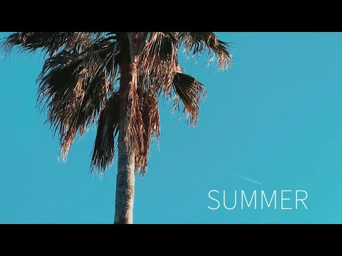【MV作ってみた】『SUMMER』by Daxten, Wai feat. Cleo Kelley / Feel the pressure