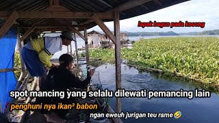 Download lagu WHO WOULD HAVE THOUGHT 😱!!! A FISHING SPOT ALWAYS PASSED BY ANGLERS TURNS OUT TO BE A NEST OF BAB... mp3