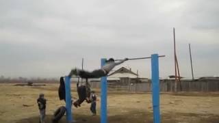 faze tari faza la bara orizontala