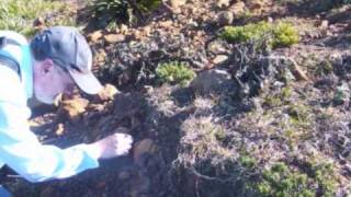 Coastal Systems: Landslides