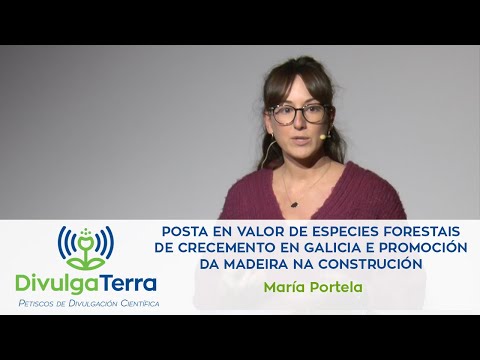 Vídeo: Posta en valor de especies forestais de crecemento en Galicia e promoción da madeira na construción