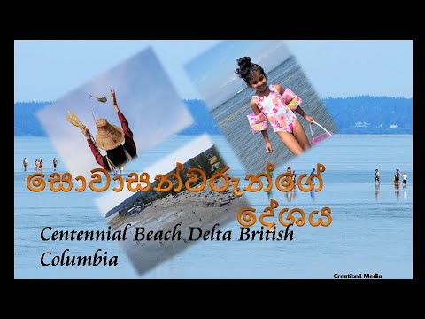 Centennial Beach Delta