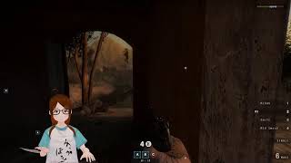 【VMagicMirror】insurgency 野良Co-op #4【インターネット女装おじさん】