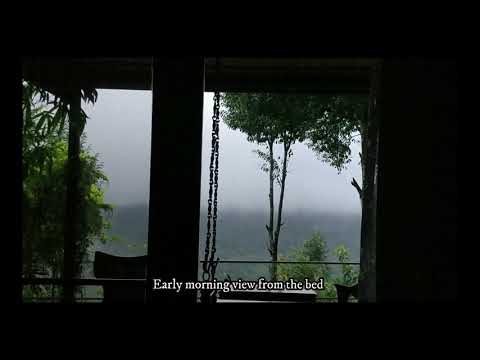 Honeymoon Suite - Spicetree