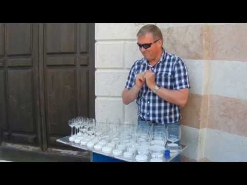 Incredible Venice Musical Glasses Street Performer
