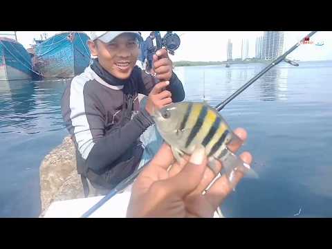 SPOT MANCING Di MUARA BARU || harus datang sebelum ayam bangun ini alasannya