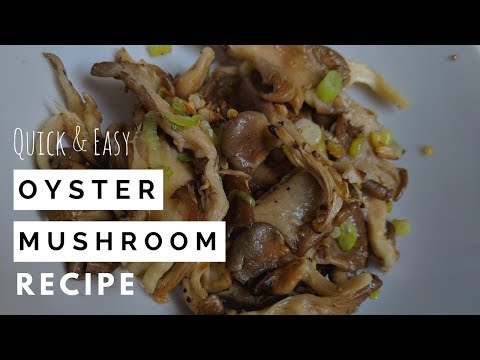 download lagu mp3 mp4 Oyster Mushroom Sauce Recipe, download lagu Oyster Mushroom Sauce Recipe gratis, unduh video klip Oyster Mushroom Sauce Recipe