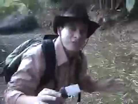 El Dr. Tucán En La Búsqueda del Eslabón Perdido