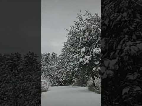 #carreteraaustral Puerto Río Tranquilo a Coyhaique Patagonia Chilena Aysén