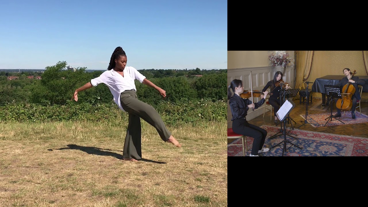 Video Image