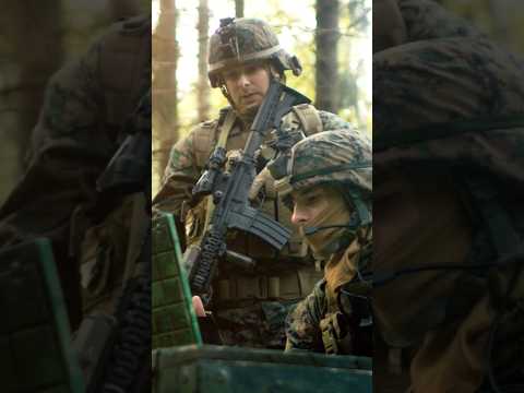 Дроны с искусственным интеллектом #искусственныйинтеллект #интересно #война #оружие #армия #будущее