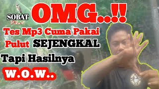 Download lagu Tes Mp3 Pikat Burung Kemade Hasilnya Luar Biasa mp3