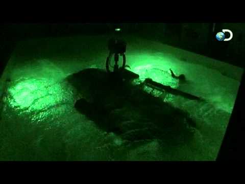 Surviving the Cut - Crash Simulation