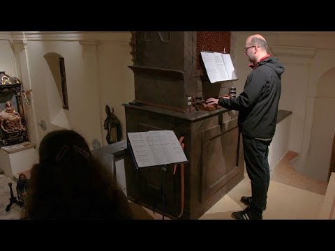 Předmluva (Loutna česká)