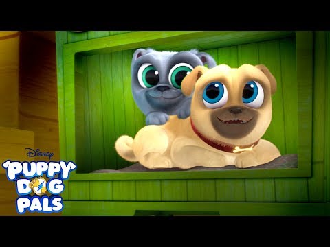 download lagu mp3 mp4 Puppies Are My Best Friends, download mp3 Puppies Are My Best Friends free downloadn, video klip Puppies Are My Best Friends