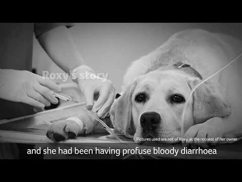Roxy didn't have to die - Help change the story