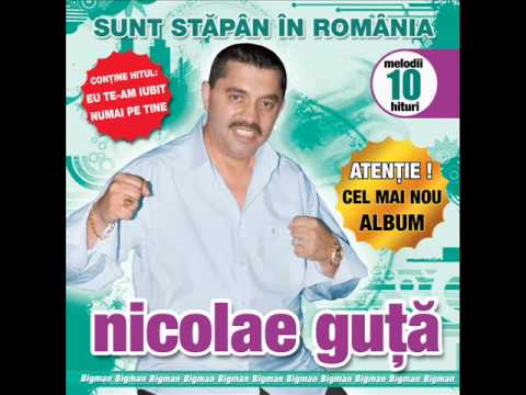 Nicolae Guta - Sunt stapan in Romania (Audio oficial)