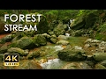 4K FOREST STREAM - RELAXING RIVER SOUNDS - NO BIRDS - ULTRA HD NATURE  ..