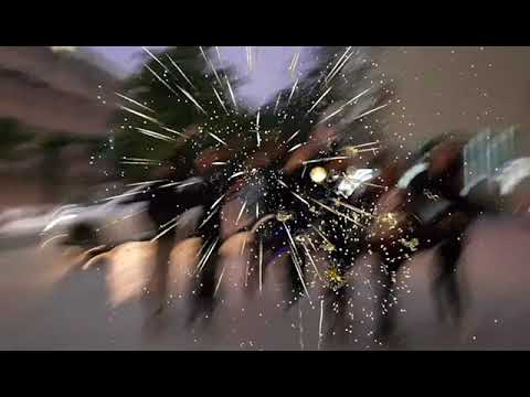 180202 / TMABird / Lunar New Year 2018 / Aducrew