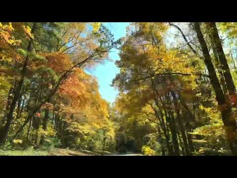 Chasing Fall colors 🍁🍂