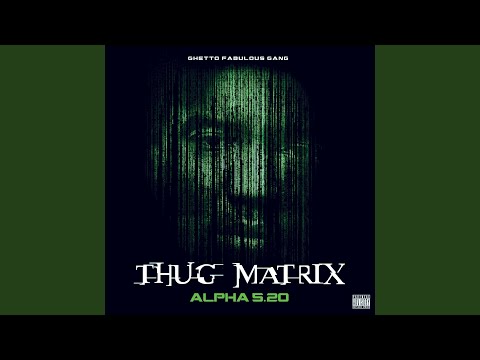 Chakals, loups et hyènes