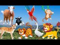 HOW TO SOUND THE VOICES OF ANIMALS IN NATURE PANTHER ELEPHANT BEGIMOT PAVL