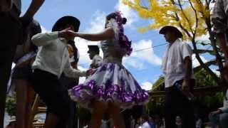 preview picture of video 'Desfile Colonias en las fiestas patronales de Tame, Arauca'