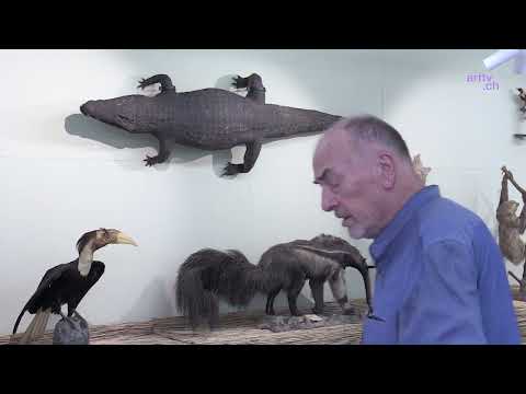 Das Museum Heiden hinterfragt sein ungewöhnlich umfangreiches koloniales Erbe