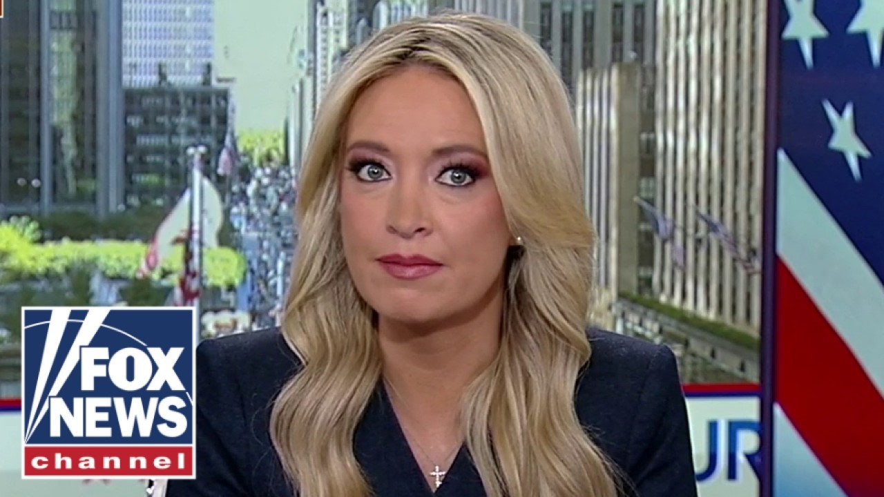 Kayleigh McEnany: We deserve more information