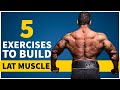 The Right way to do Lat Excercise | Lat Muscle Workout
