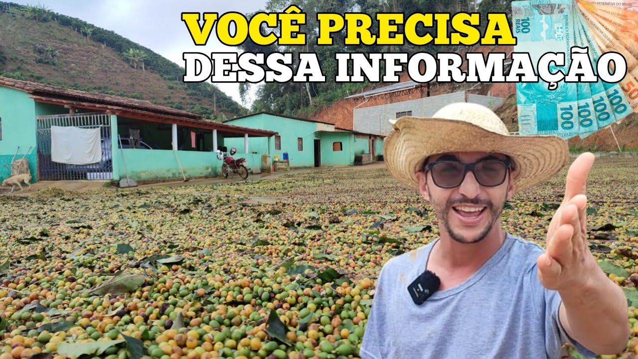 DESSA FORMA É IMPOSSÍVEL NÃO GANHAR DINHEIRO COM CAFÉ