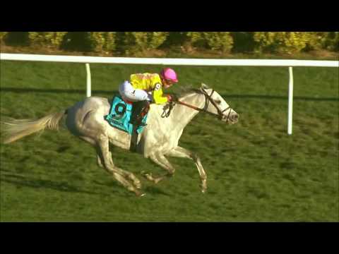 Mr Maybe, Twilight Eclipse, Da Big Hoss Eye Mac Diarmida