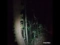 Trek Malam Gunung Kembar