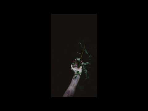 alexa x szympert - pozwól samą być prod.denz