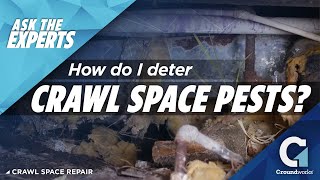 How To Deter Crawl Space Pests