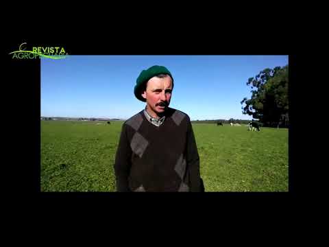 Poll Dorset con quintillizos en Florida