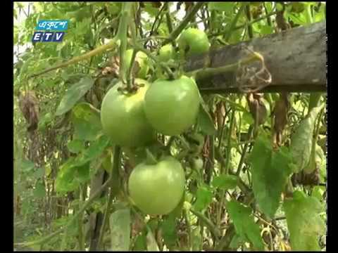 বিজনেস সংবাদ ০১ ০৩ ২০১৮