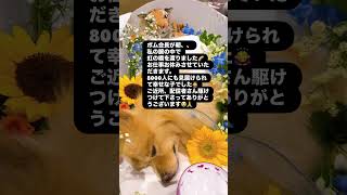 ボム会長いままでありがとう🫶🥺💕💕頑張ったね😢😢😢