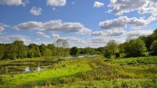 A description of the purpose and function of the wetlands. Place based learning.