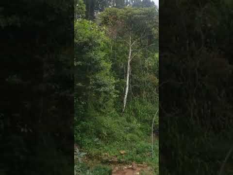 Channel eka subscribe karana.😚😙😘🥰😍♥️❤️😍🥰😘😙😚