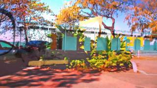 Neil Young sings  Fats domino's   'Walking to New Orleans