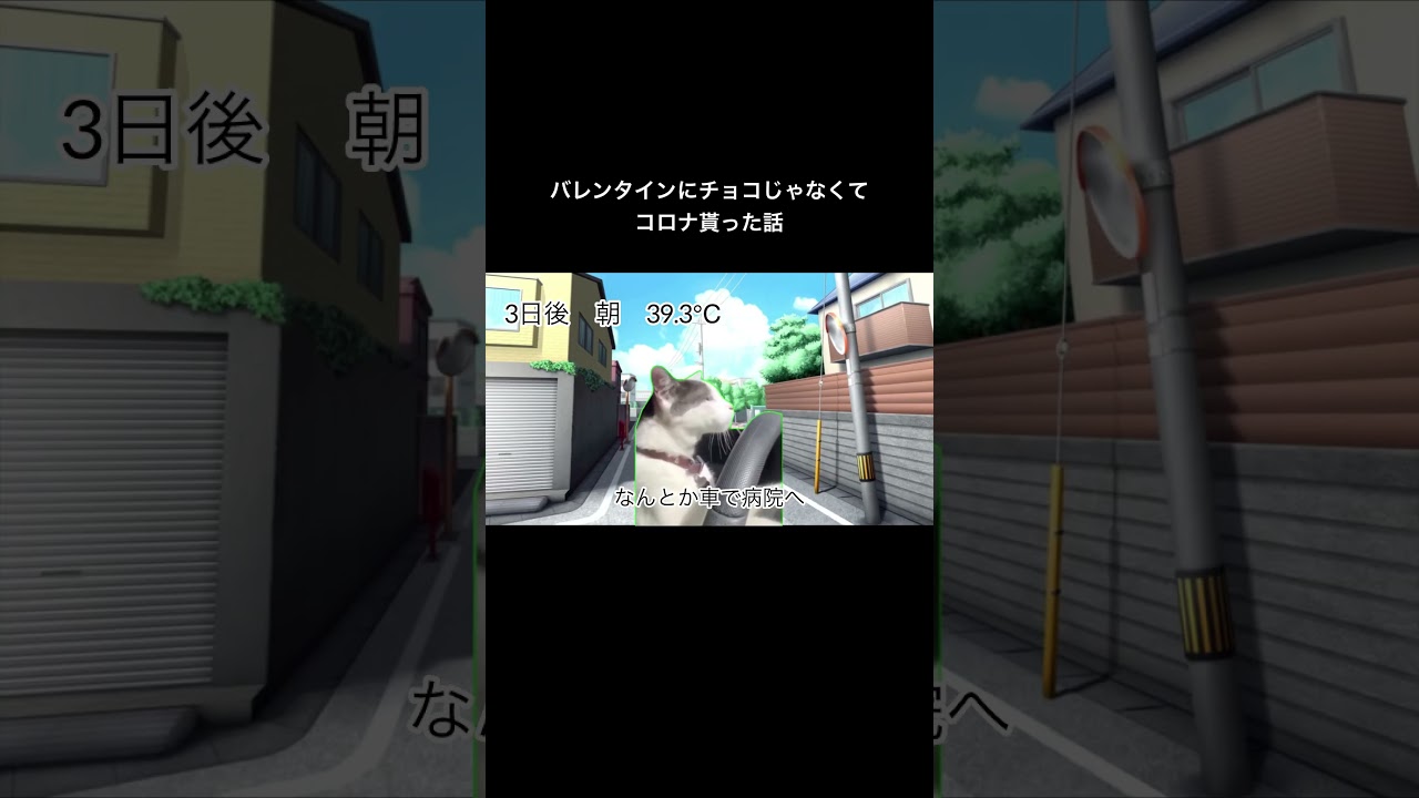 飲みに行ったらコロナなって◯ぬかと思った話。#猫ミーム #猫 #shorts