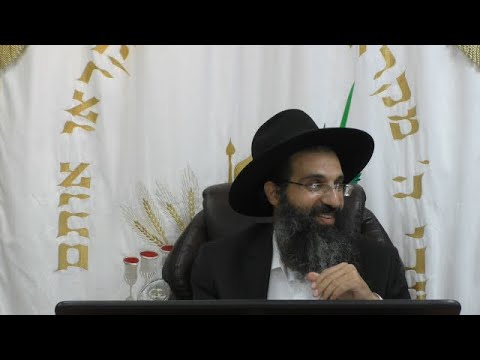 סוכות ושביעית 🍂 שאלות ותשובות | הרב שי עובד | ערב חג סוכות