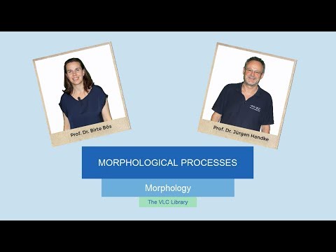 MOR104 - Morphological Processes