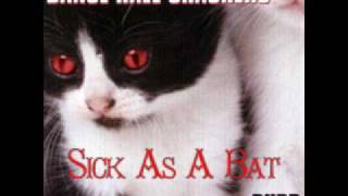 Sick As A Bat
