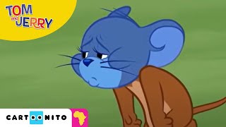 Tom and Jerry: Feeling Blue  Cartoonito Africa